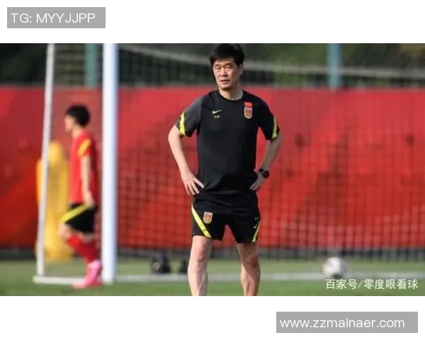 杭州排球队战术实力强劲荣登全国第二名引发关注