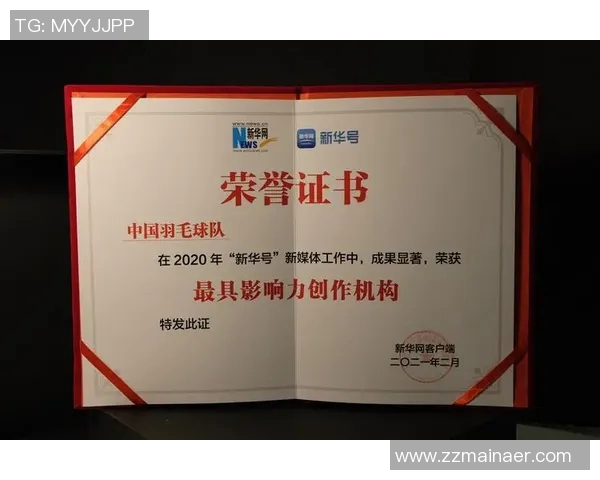 南京羽毛球队运营模式解析与发展趋势探讨