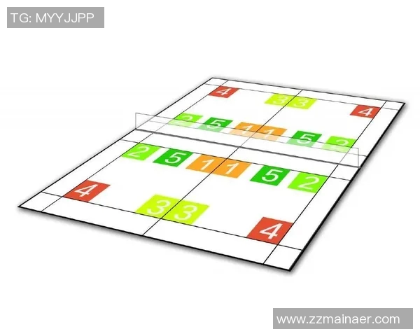 北京羽毛球队配合表现的数据分析与战术探讨