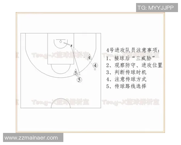 成都篮球队整体压制体系解析与战术运用探讨