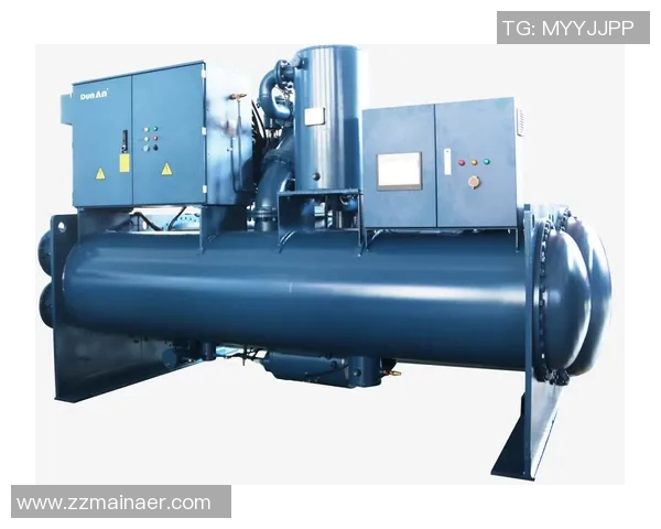 广州篮球队运营模式解析与未来发展趋势探讨