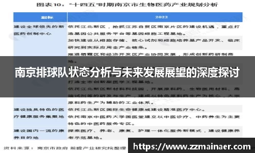 南京排球队状态分析与未来发展展望的深度探讨