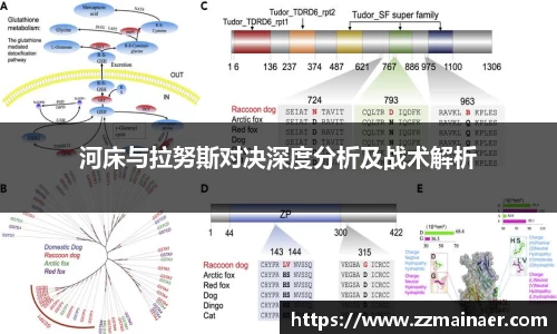 星空综合官方网站