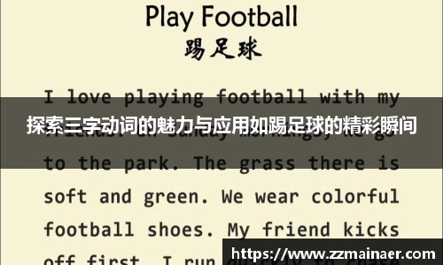 星空综合官方网站